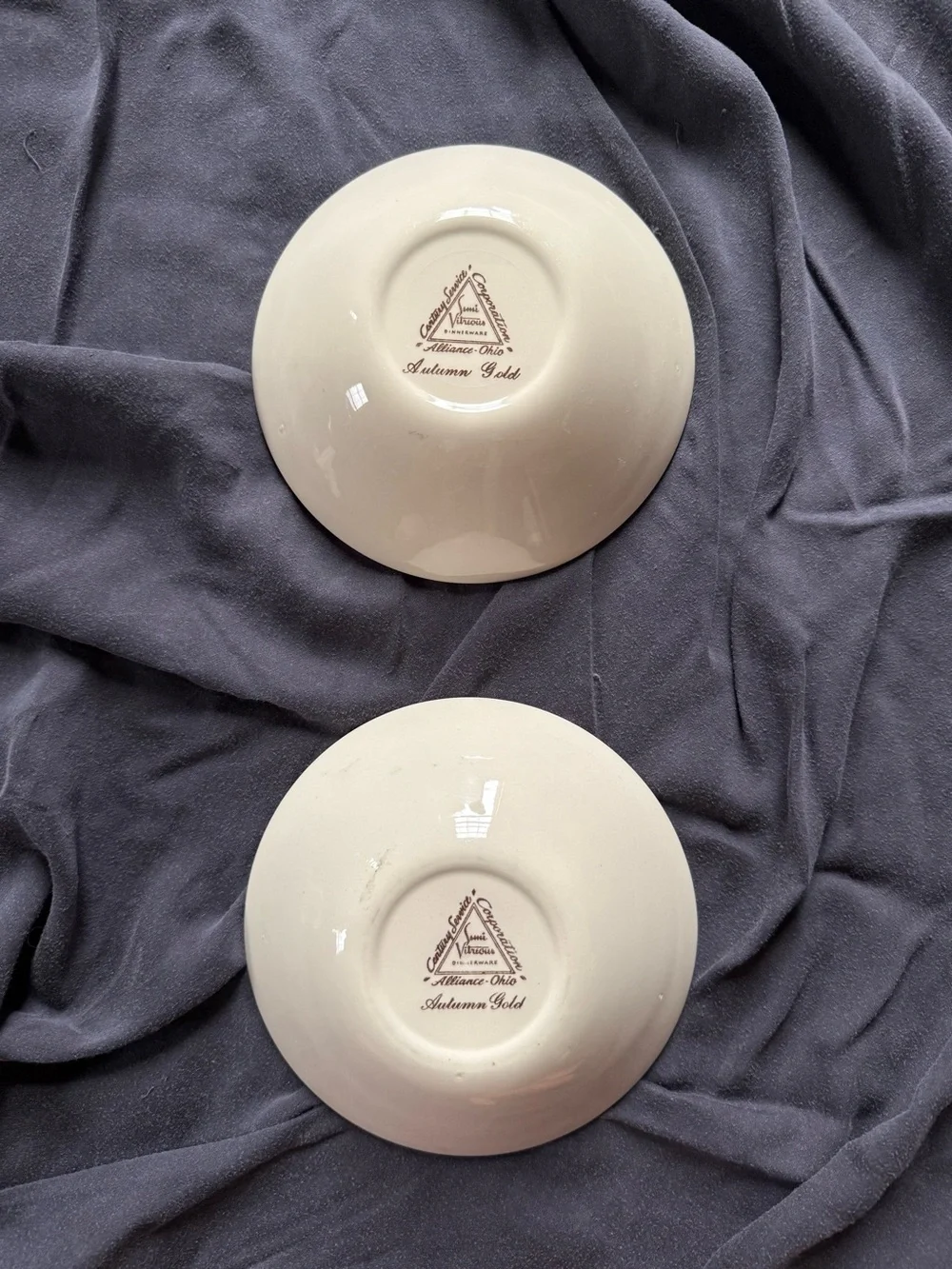 Vintage Autumn Gold Fruit Bowls Set of 2 by Century Service
